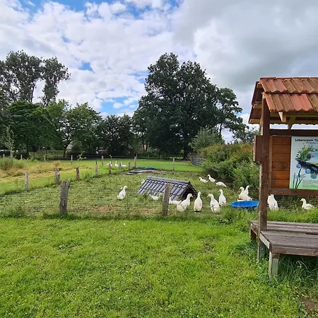 Naturhof Buschwiesen - Nandu Apartman Wilsum