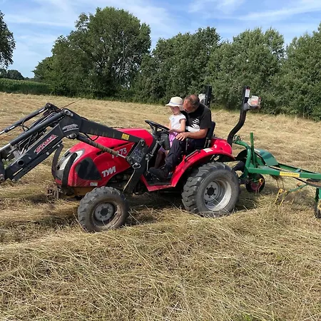Naturhof Buschwiesen - Nandu *