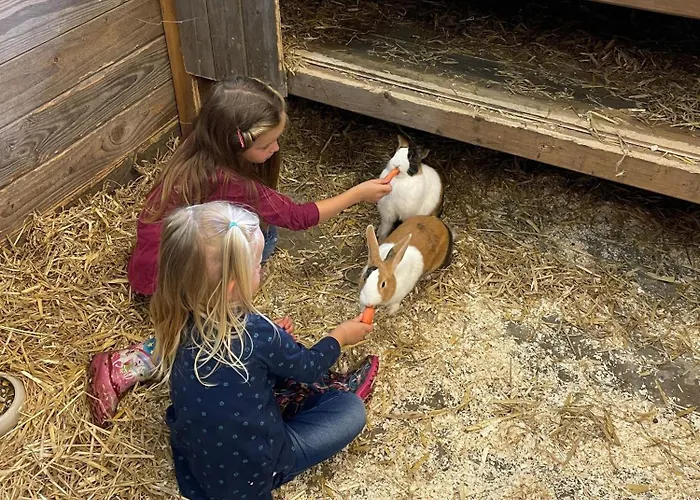 Naturhof Buschwiesen - Nandu Apartment *