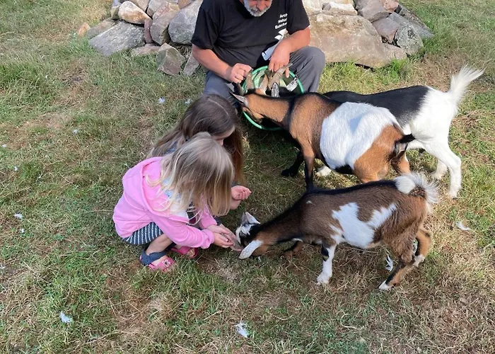 Apartman Naturhof Buschwiesen - Nandu *